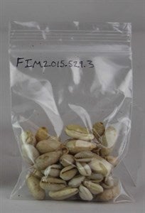 Image description is not available for FIM2015.529.3